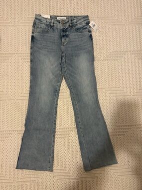 Flying Monkey Light Wash Women's Flare Jeans